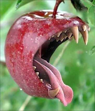 bite-the-apple